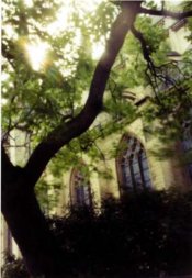 gevabox_kerk_en_boom_fuji_superia_30sec.jpg