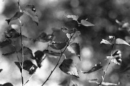 childrensDAY (9 of 9).jpg