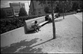 Silvermax 100027.jpg