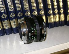 viv-19mm-2.JPG