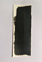 strip1.jpg