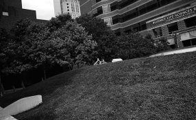 Adox Silvermax 800006.jpg