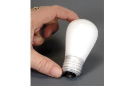 bulb.jpg