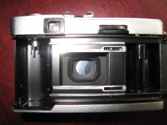 backcloseup.JPG