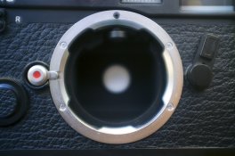 _DSF4320.jpg