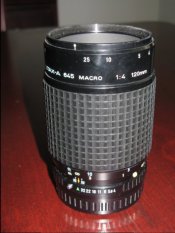 120 macro.JPG