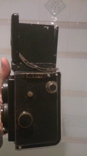 DSC_0288.jpg