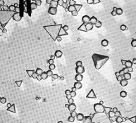 SR polydisperse K grains resized.jpg