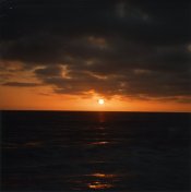 img1100.jpg