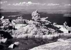 ImageUploadedByTapatalk1382917231.329633.jpg ImageUploadedByTapatalk1382917231.329633.jpg