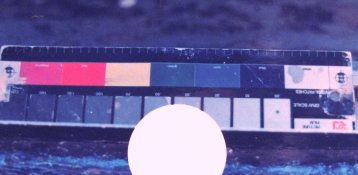 Agfa Sensatis with BZ.JPG