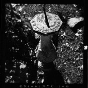 Efke100-Rodinal50-10min-2400-7.jpg Efke100-Rodinal50-10min-2400-7.jpg