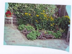 scan0001.jpg