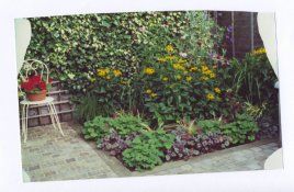 scan0002.jpg