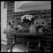 PumpkinTable.jpg