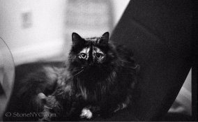 ImageUploadedByTapatalk1383511240.746424.jpg ImageUploadedByTapatalk1383511240.746424.jpg