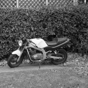 motorcycle.jpg