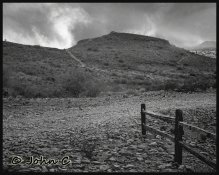 Tmax 100R Horseman b.jpg