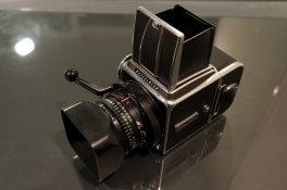 Hassy-9464.jpg