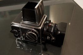 Hassy-9465.jpg