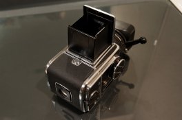 Hassy-9466.jpg