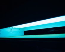 DSC_8152.jpg