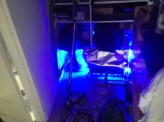 IMG_0691.JPG
