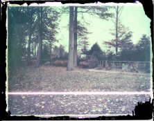 FP100Cneg-ClroxBlch-2400001.jpg FP100Cneg-ClroxBlch-2400001.jpg