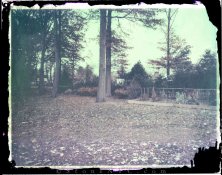 FP100Cneg-ClroxBlch-2400001-2.jpg