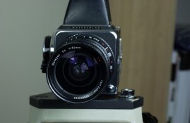 DSC_0006.jpg