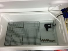 waterbath1.jpg