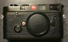 front - Version 2.jpg
