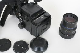 IMG_8550.jpg