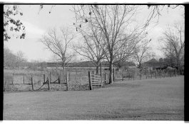 20131209-01 HP5 Zorki-4 02.jpg