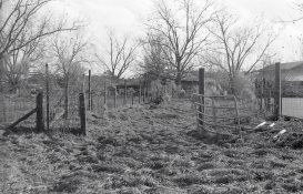 20131209-01 HP5 Zorki-4 08.jpg