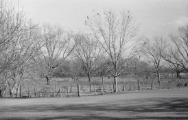 20131209-01 HP5 Zorki-4 07.jpg
