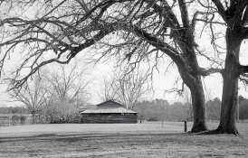 20131209-01 HP5 Zorki-4 06.jpg