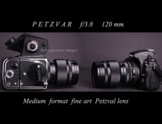 PETZVARweb copy.jpg