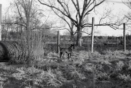 20131212-01 HP5 Zorki-3C 22.jpg