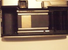 PC220253.jpg