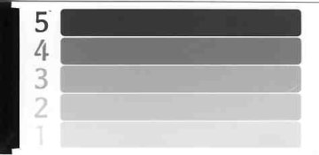 Strip Test 001.jpg