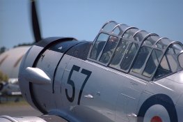 Harvard 57.jpg