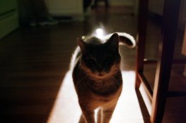 001_24.jpg
