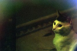 007_18.jpg