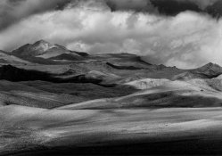 Campito Mountain #49, 1991[1].jpg