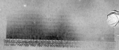 Raw SRAD with dye.jpg