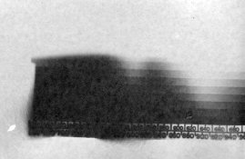Sample 1 SRAD with everything.jpg