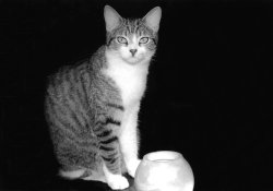 img288.jpg