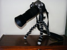 DSCF9248.jpg