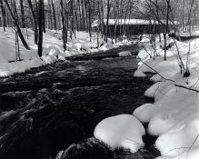 Snow Scene 01.jpg
